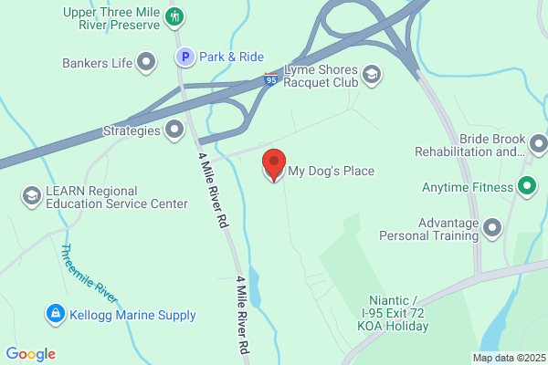 My Dog's Place LLC