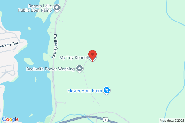 My Toy Kennel