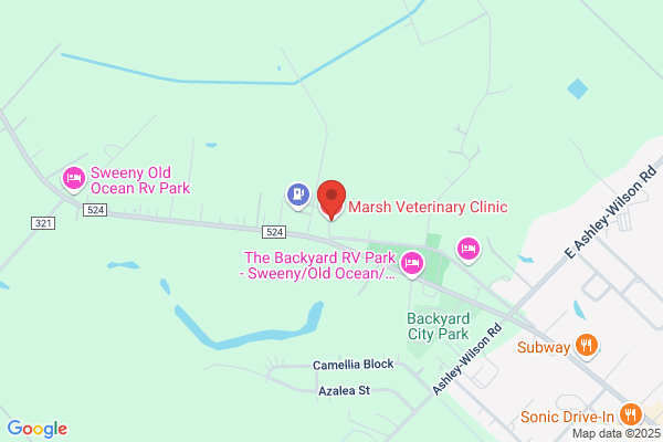 Marsh Veterinary Clinic