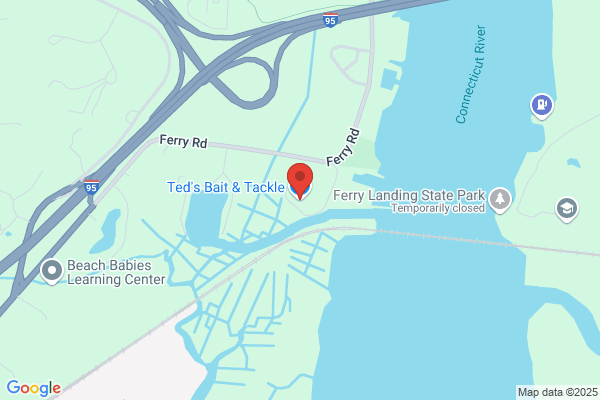Ted's Bait & Tackle