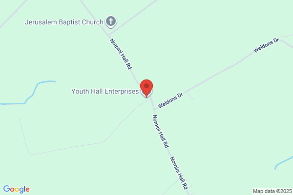 Youth Hall Enterprises Tree Service