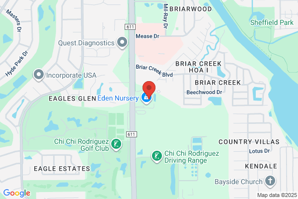 Diagnostic Clinic Medical Group - Clearwater
