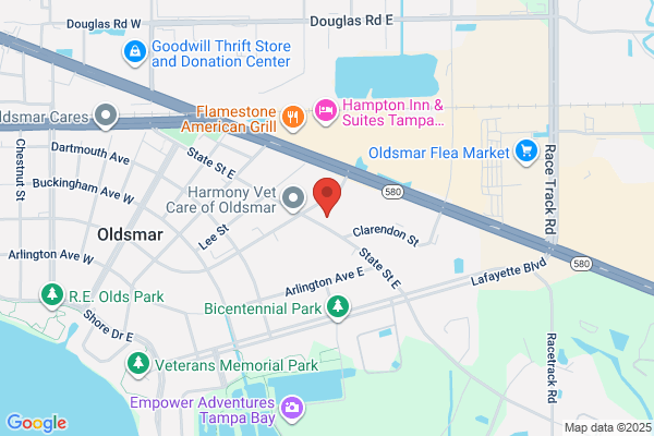 Residence Inn by Marriott Tampa Oldsmar
