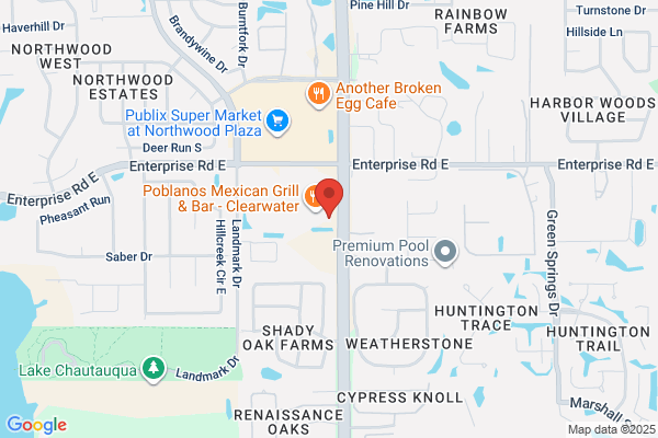 Affordable SEO Company Clearwater