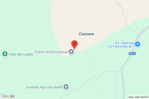 Pranique Center