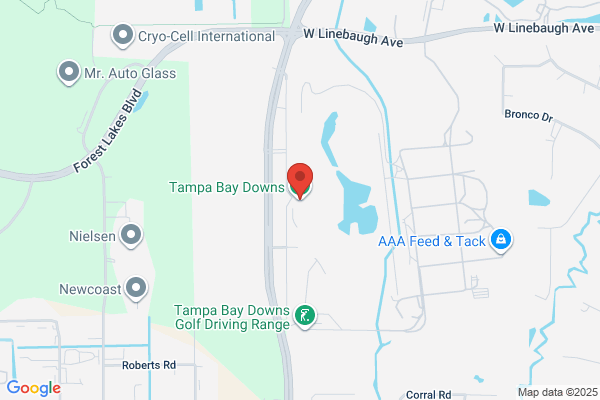 Tampa Bay Downs
