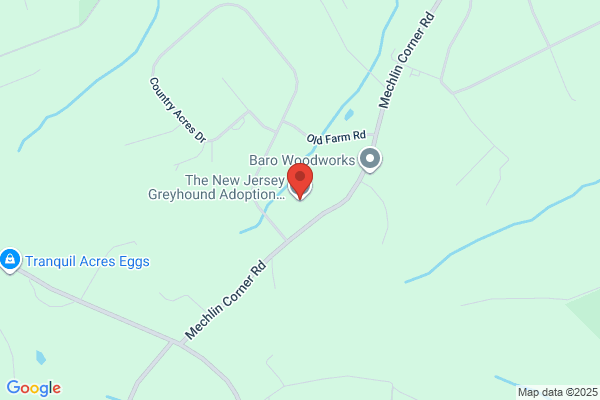 New Jersey Greyhound Adoption Program Inc