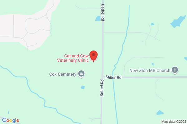 Cat & Cow Veterinary Clinic