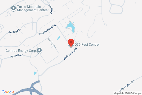 Case Pest Control