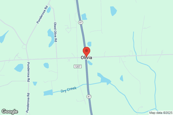 Olivia Cash Grocery