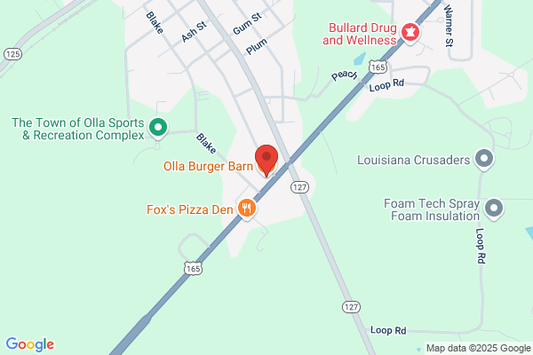 Burger Barn of Olla