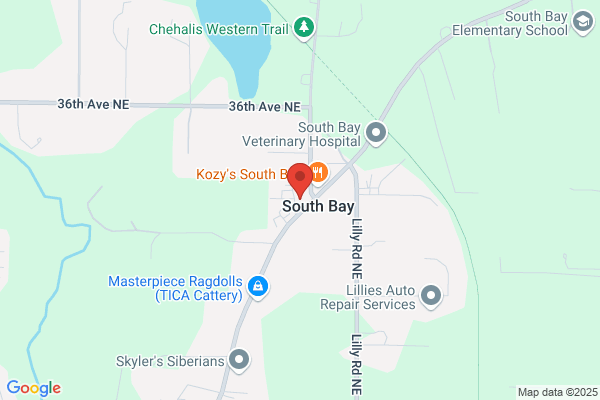 South Bay Construction