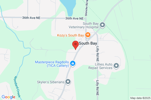 Third Bay the