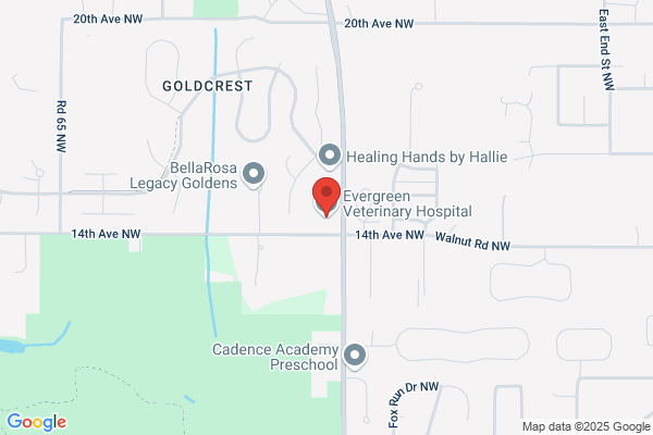 Evergreen Veterinary Hospital