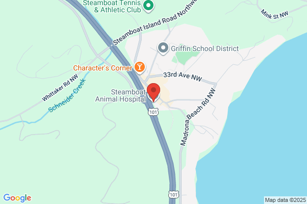 Steamboat Animal Hospital