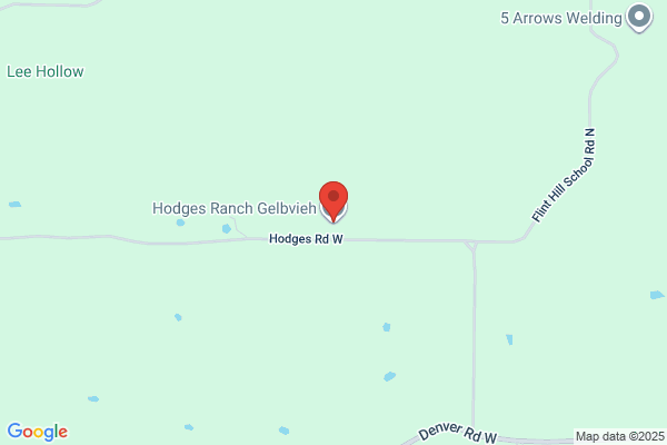 Hodges Gelbvieh Ranch