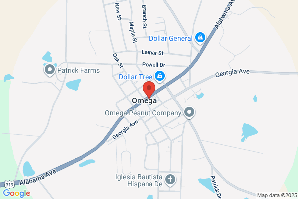South Georgia Banking Company