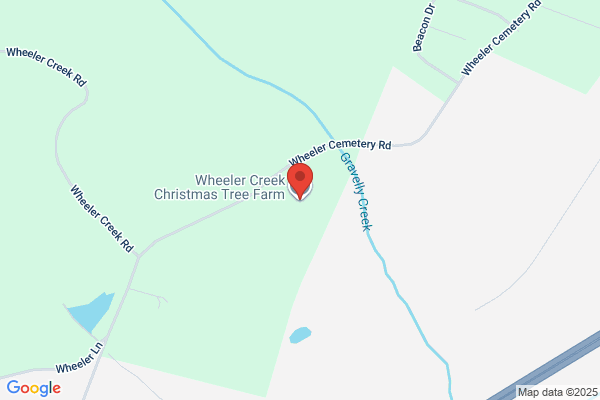 Warrior Creek Tree Farm