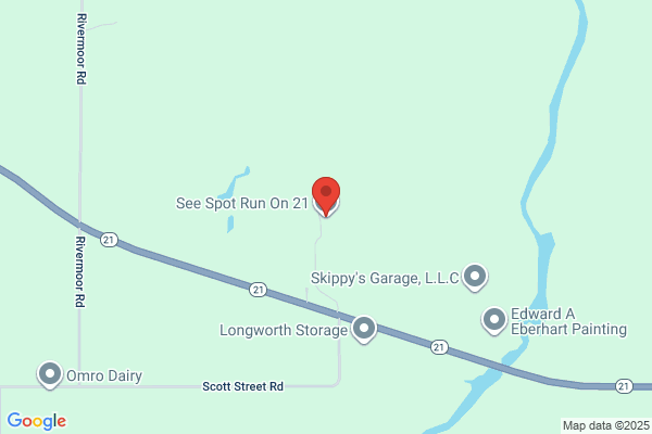 See Spot Run On 21