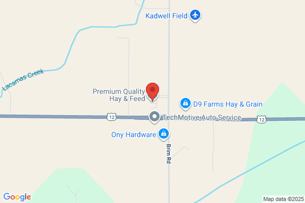 Premium Quality Hay & Feed