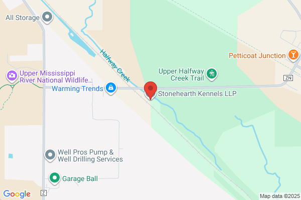 Stonehearth Kennels LLP