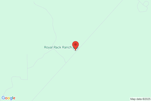 Lock Stock & Barrel Ranch