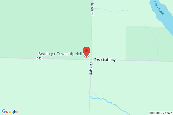 Township Hall-Bearinger