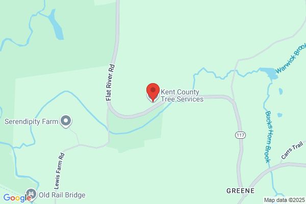 Kent County Tree Service