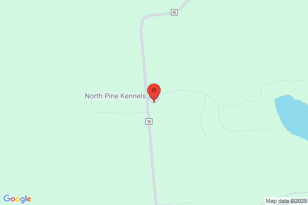 Pine Tree Kennel