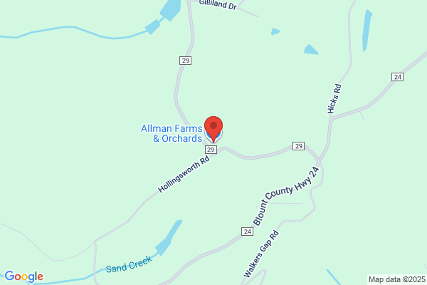 Allman Tomato Co