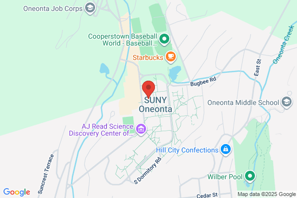 Catskill Symphony Orchestra Inc