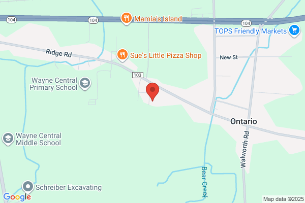 Libraries, Ontario Public Library