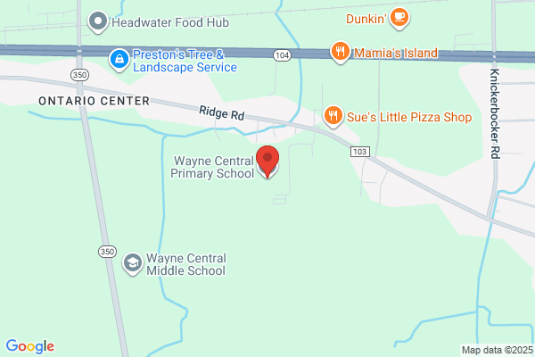 Wayne Central School District, Information