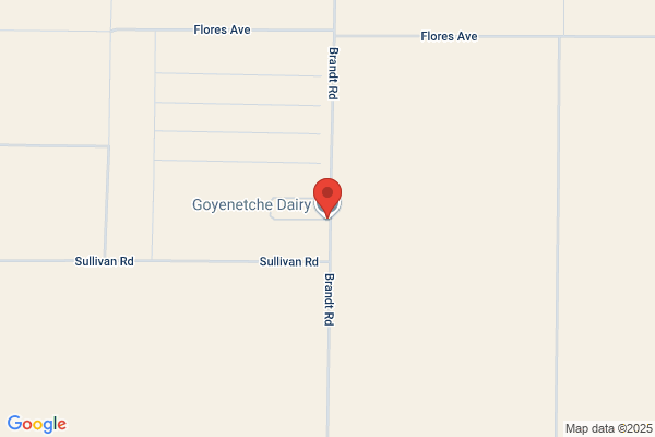 Goyenetche 2