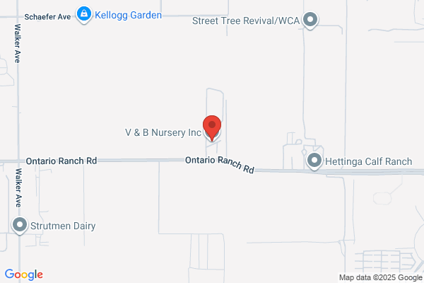 V & B Growers Inc