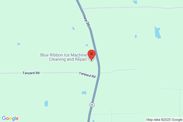 Blue Ribbon Ice Service