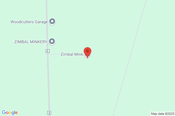 Zimbal Body Works Inc