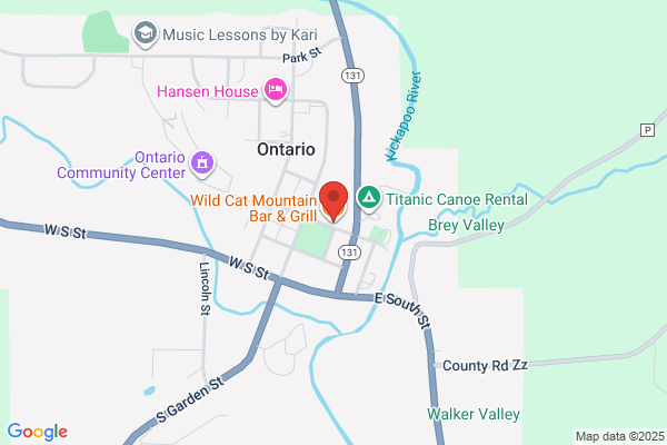 Wildcat Mountain Bar & Grill