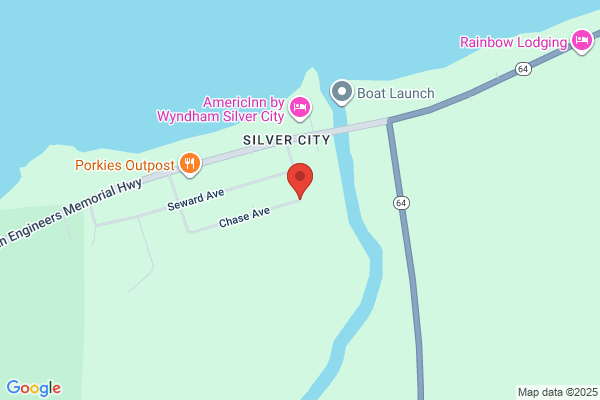 Silver Image Gallery
