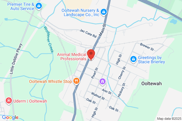 Animal Medical Professionals of Ooltewah