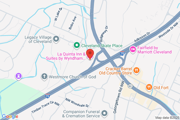 British Swim School of Chattanooga