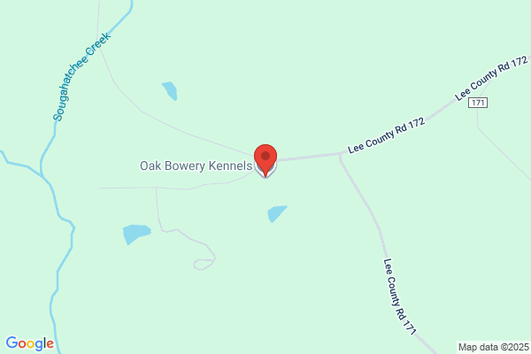 Oak Bowery Kennels