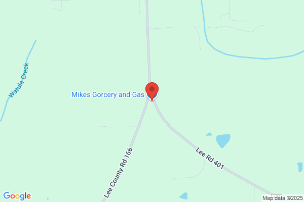 Ms Grocery