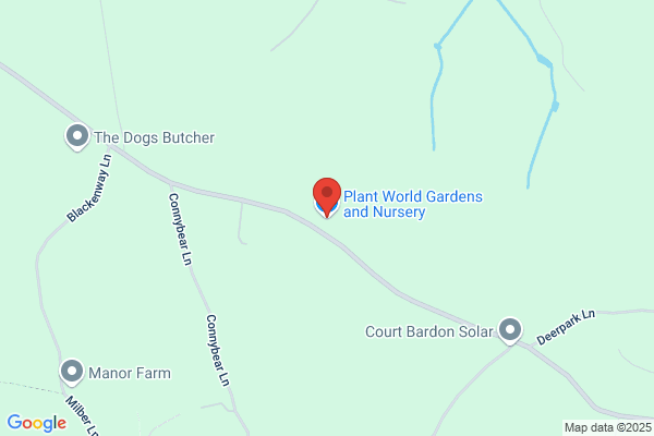 Plant World Nursery