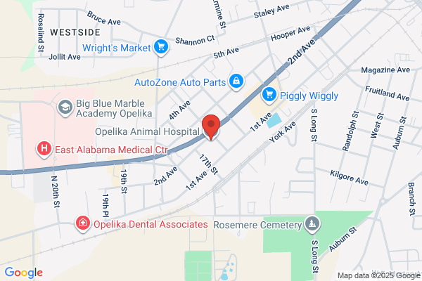 Opelika Animal Hospital