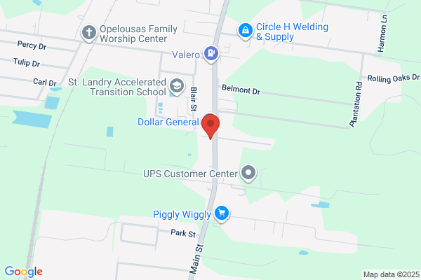 Earls Auto Repair Opelousas