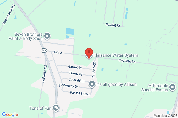 Plaisance Water System Inc