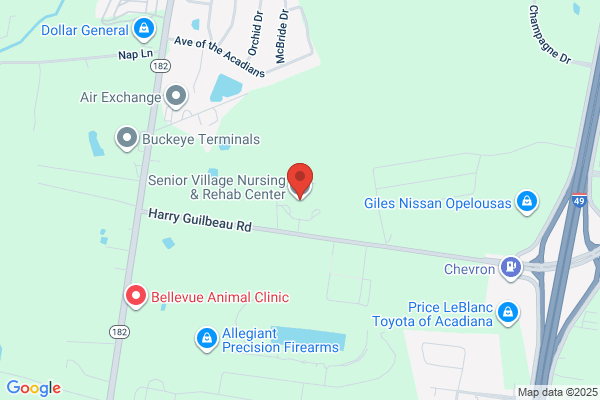 Senior Village Nursing & Rehab Center