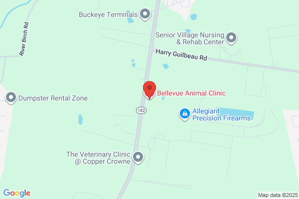Bellevue Animal Clinic
