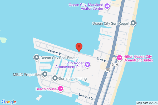 Back Bay Fishing Charters